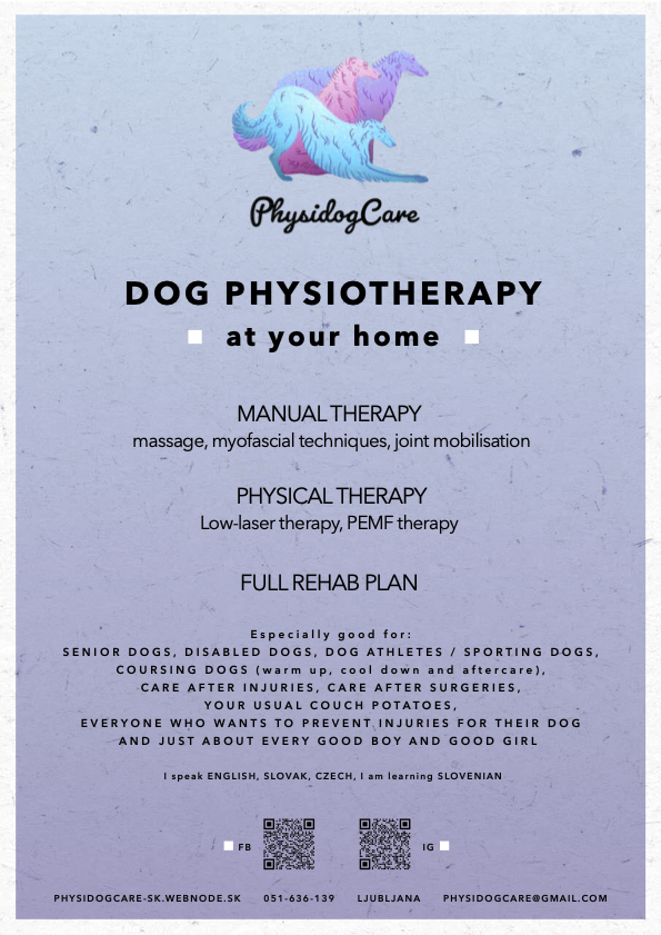 Physiotherapy helps sighthounds maintain their health, prevent injuries, improve movement and performance, and enjoy a longer, more comfortable, and active life.